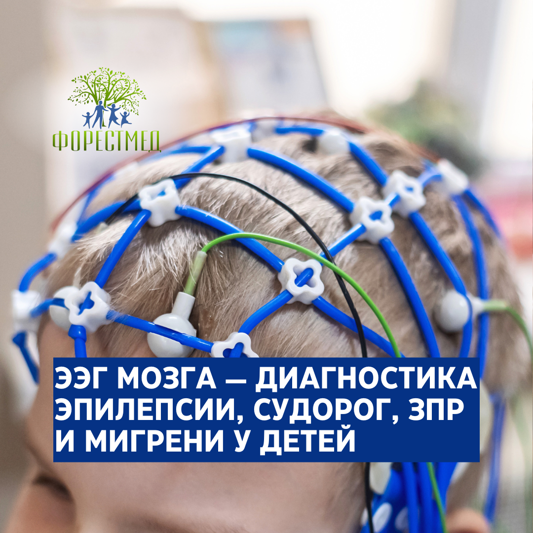 -Форест-39.png